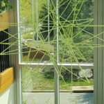 Super sized straw star hanging in front of a window